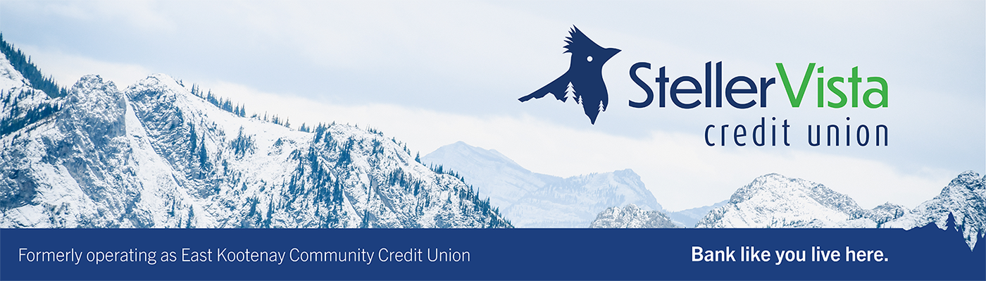 StellerVista Credit Union